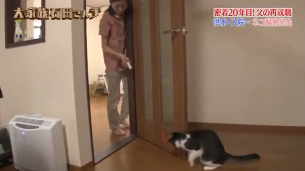 石田芽衣子